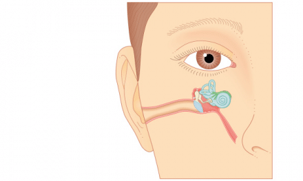 Anatomy of the ear and how the hearing system works